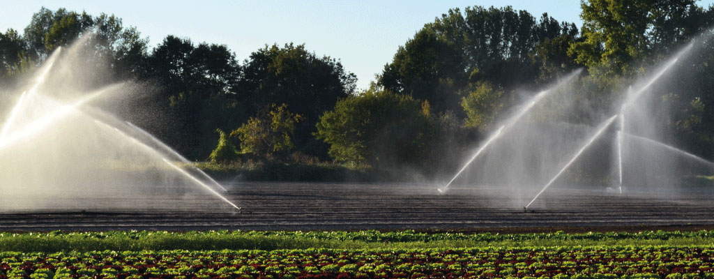 Bewässerung mittels Anlage auf einem Feld