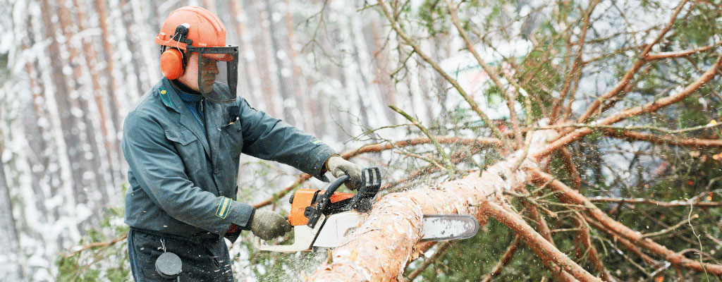 Holzfäller schneidet Holz im Winter